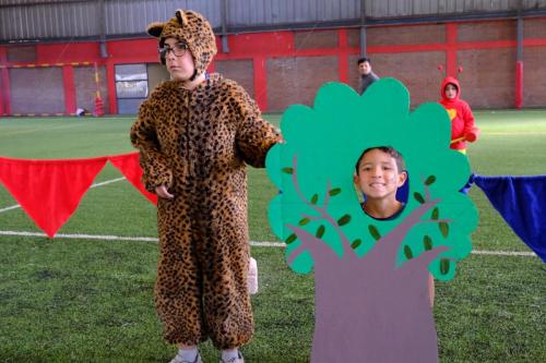 image13 (1) (1) (1) (1)