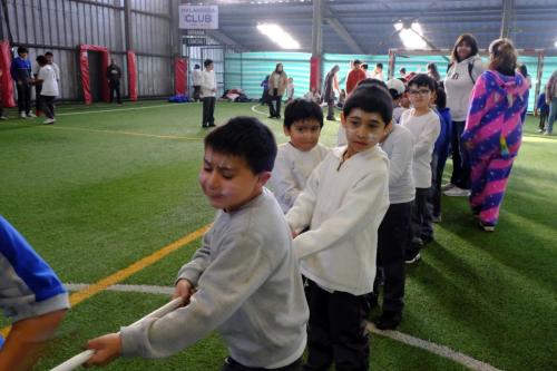 image39 (1) (1) (1) (1)